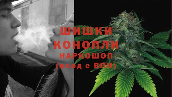 стафф Няндома