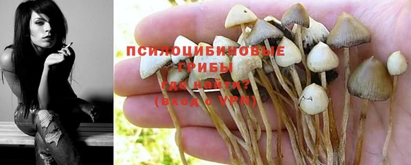 а пвп мука Новокубанск