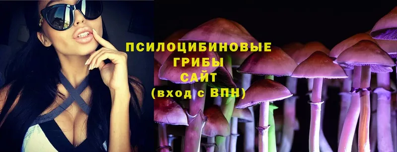 Псилоцибиновые грибы Magic Shrooms  Кинель 