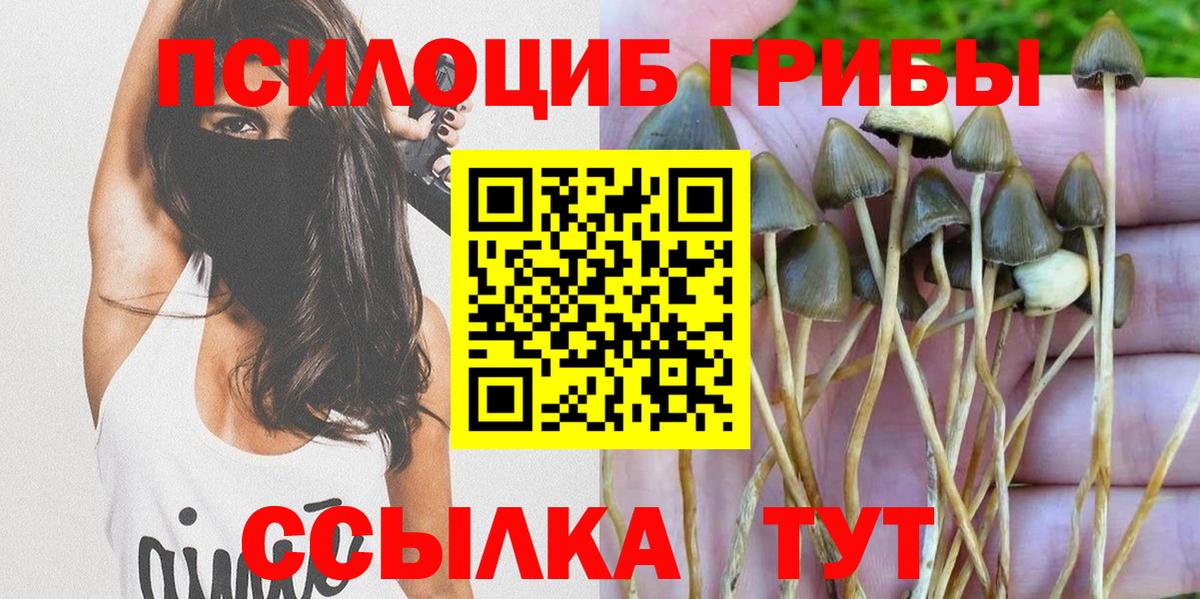 Галлюциногенные грибы прущие грибы  Вход с VPN  Кинель 