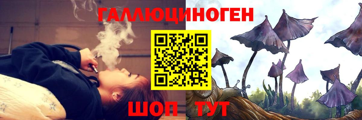 Галлюциногенные грибы прущие грибы Кинель