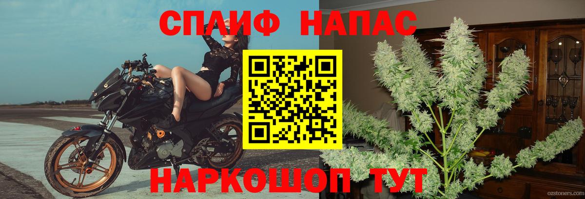 Конопля SATIVA & INDICA  Кинель  Канабис планчик  Канабис MAZAR 